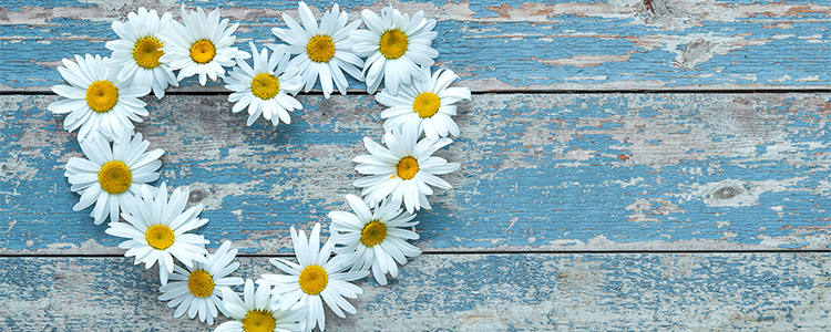 Journey to Extraordinary Compassionate Care