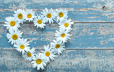 Journey to Extraordinary Compassionate Care